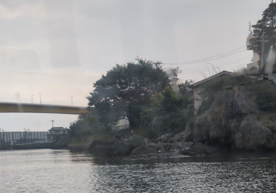 鵜